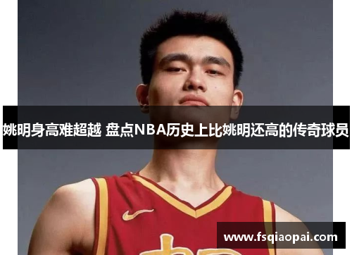 姚明身高难超越 盘点NBA历史上比姚明还高的传奇球员