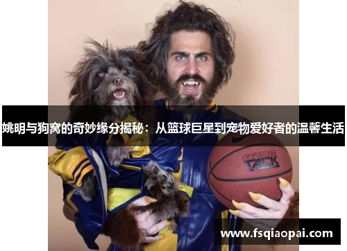 姚明与狗窝的奇妙缘分揭秘：从篮球巨星到宠物爱好者的温馨生活