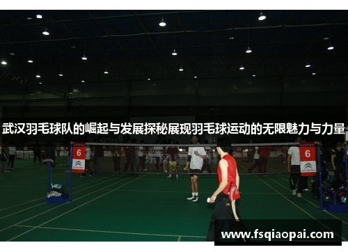 武汉羽毛球队的崛起与发展探秘展现羽毛球运动的无限魅力与力量