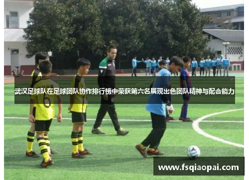 武汉足球队在足球团队协作排行榜中荣获第六名展现出色团队精神与配合能力