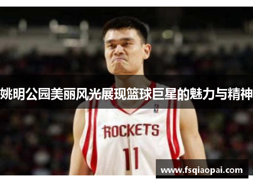 姚明公园美丽风光展现篮球巨星的魅力与精神