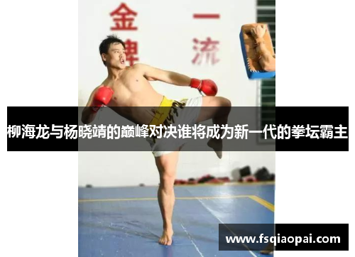 柳海龙与杨晓靖的巅峰对决谁将成为新一代的拳坛霸主